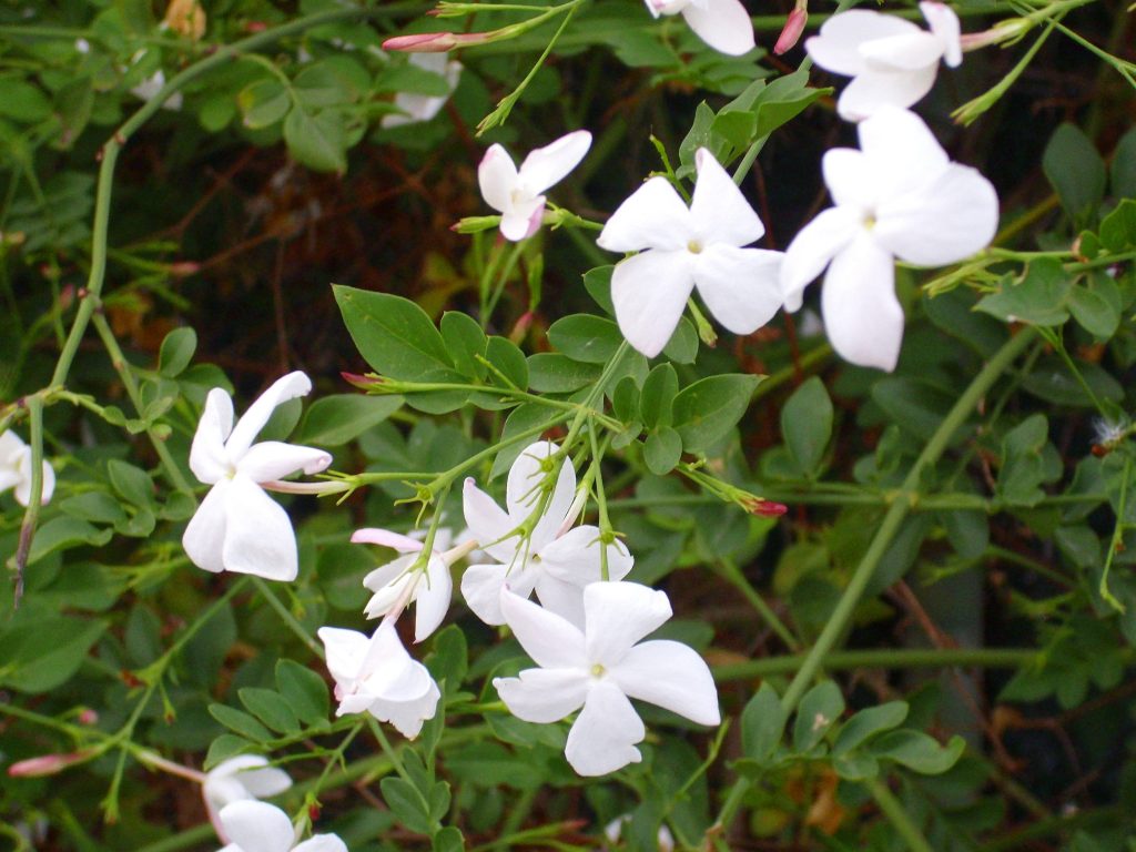 d0b6d0b0d181d0bcd0b8d0bd