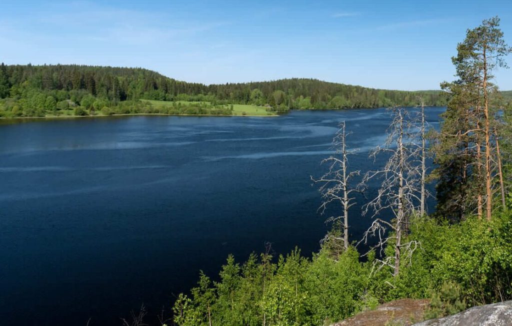 d180d0bed0b4d0bdd0b0 d181d0bad0b0d180d0b0 d0bbd0b5d0bad0bed0b2