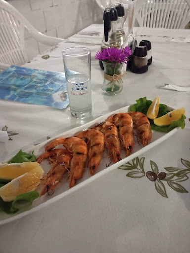 Рибна Борса Бисери