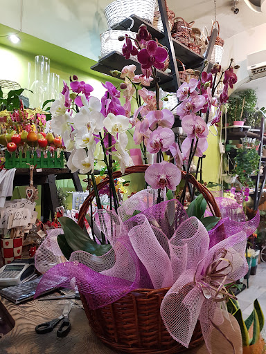 FLO.BG - Доставка на цветя Стара Загора